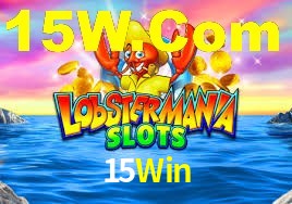 Premium Interface 15Win